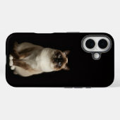 Zwart 4 Luxe iPhone 16 Mat, Birmaanse Kat Case-Mate iPhone Case (Achterkant (horizontaal))