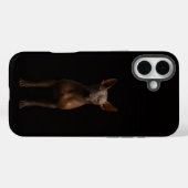 Zwart 4 Luxe iPhone 16 Plus, Argentina Pila Dog Case-Mate iPhone Case (Achterkant (horizontaal))