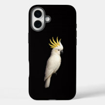 Zwart 4 Luxe iPhone 16 Plus, Kuifkaketoe
