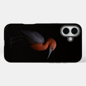 Zwart 4 Luxe iPhone 16 Plus, Reddish Egret Case-Mate iPhone Case (Achterkant (horizontaal))