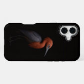 Zwart 4 Luxe iPhone 16 Plus, Reddish Egret Hoesje (Achterkant horizontaal)
