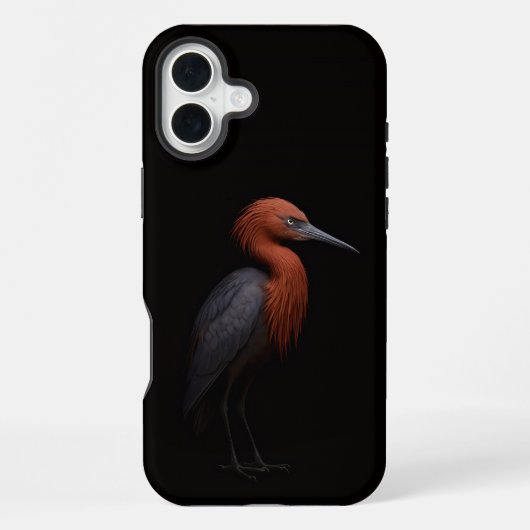 Zwart 4 Luxe iPhone 16 Plus, Reddish Egret Hoesje (Achterkant)