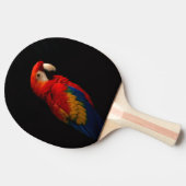 Zwart 4 Luxe pingpong paddle, Scarlet Parrot Tafeltennisbatje (Zijkant)