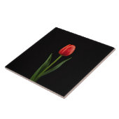 Zwart 4 Luxe Tegels met Robijnrode Tulp Tegeltje (Zijkant)