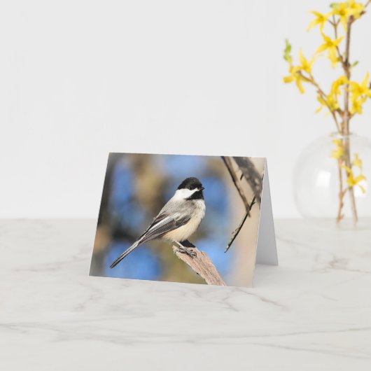 Zwart afgedekte Chickadee blanco binnenkant Kaart (Gele Bloem)