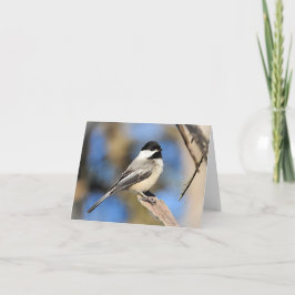 Zwart afgedekte Chickadee blanco binnenkant Kaart