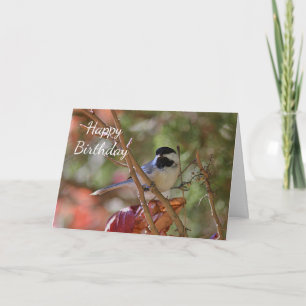 Zwart-afgedekte Chickadee Kaart
