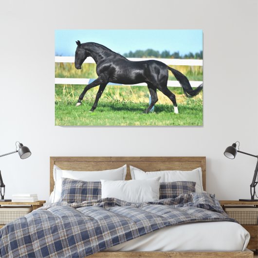 Zwart Akhal Teke hengst Galloping Paddock hek Canvas Afdruk (Insitu (Slaapkamer))