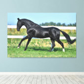 Zwart Akhal Teke hengst Galloping Paddock hek Canvas Afdruk (Insitu (Houten vloer))