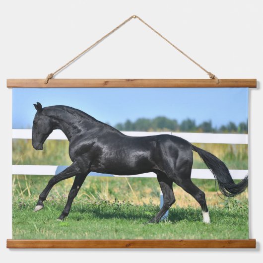 Zwart Akhal Teke hengst Galloping Paddock hek Hangend Wandkleed (Voorkant)