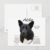 Zwart Akita Geschiedenis Ontwerp Briefkaart (Voorkant / Achterkant)