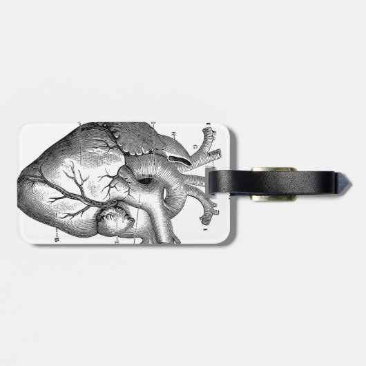 Zwart anatomisch hart bagagelabel (Achterkant horizontaal)