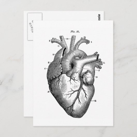Zwart anatomisch hart briefkaart (Voorkant / Achterkant)