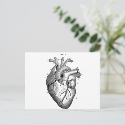 Zwart anatomisch hart briefkaart (Staand voorkant)