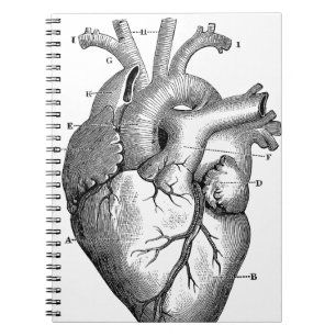 Zwart anatomisch hart notitieboek