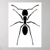 Zwart Ant Poster (Voorkant)