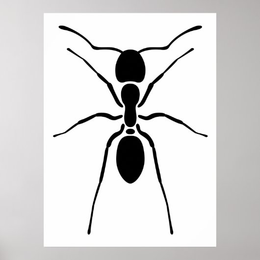 Zwart Ant Poster (Voorkant)