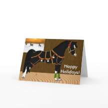 Zwart Arabisch Paard Kerstmis