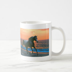 Zwart arabisch paard Mok