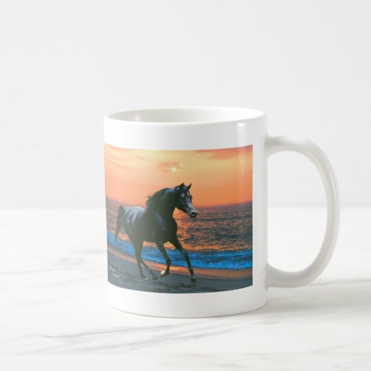 Zwart arabisch paard Mok (Rechts)