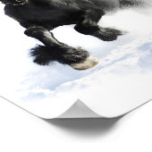 Zwart-Aziatisch paard in sneeuwwitje afdrukken Poster (Hoek)