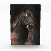 Zwart Beauty Friese Paard - Fotoblok (Voorkant)