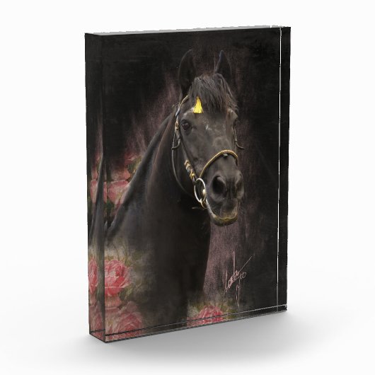 Zwart Beauty Friese Paard - Fotoblok (Links)