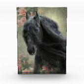 Zwart Beauty Friese Paard - Fotoblok (Voorkant)