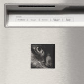 Zwart Beauty Kat Magneet (Insitu (Vaatwasser))