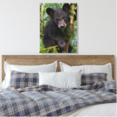 Zwart Beer afspelen in bomen Canvas Afdruk (Insitu (Slaapkamer))