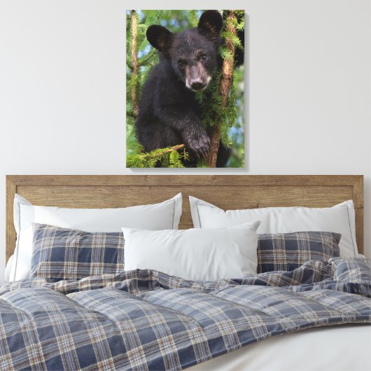 Zwart Beer afspelen in bomen Canvas Afdruk (Insitu (Slaapkamer))