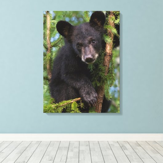 Zwart Beer afspelen in bomen Canvas Afdruk (Insitu (Houten vloer))