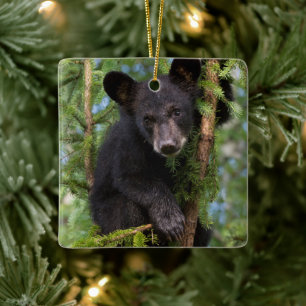 Zwart Beer afspelen in bomen Keramisch Ornament