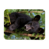Zwart Beer afspelen in bomen Magneet (Horizontaal)