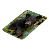 Zwart Beer afspelen in bomen Magneet (Linkerzijde)