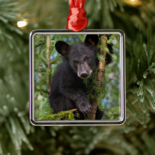 Zwart Beer afspelen in bomen Metalen Ornament