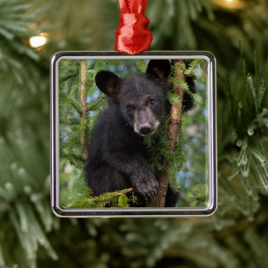 Zwart Beer afspelen in bomen Metalen Ornament (Boom)