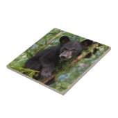 Zwart Beer afspelen in bomen Tegeltje (Zijkant)