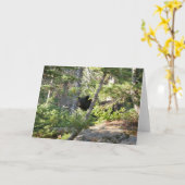 Zwart Beer bij Grand Teton Kaart (Gele Bloem)