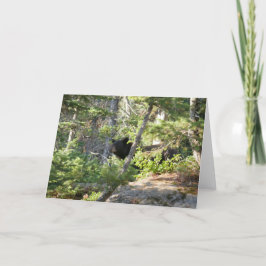 Zwart Beer bij Grand Teton Kaart