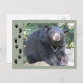 Zwart Beer Briefkaart (Voorkant / Achterkant)
