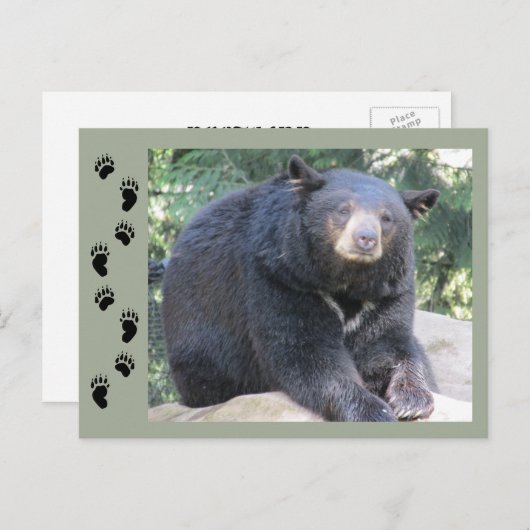 Zwart Beer Briefkaart (Voorkant / Achterkant)