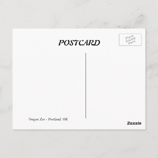 Zwart Beer Briefkaart (Achterkant)