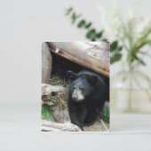 Zwart Beer Briefkaart (Staand voorkant)