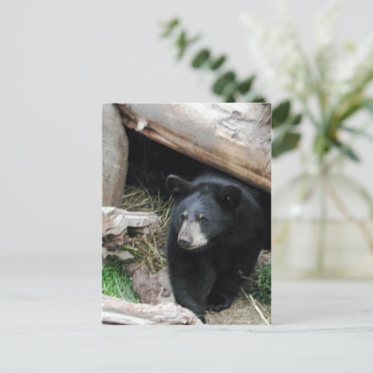 Zwart Beer Briefkaart (Staand voorkant)