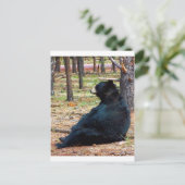 Zwart beer briefkaart (Staand voorkant)