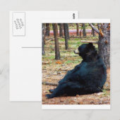 Zwart beer briefkaart (Voorkant / Achterkant)