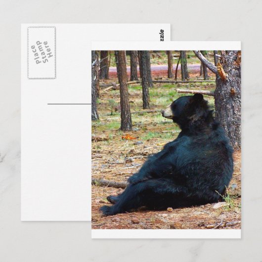 Zwart beer briefkaart (Voorkant / Achterkant)