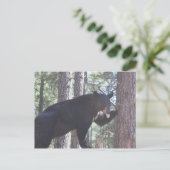 Zwart Beer Briefkaart (Staand voorkant)