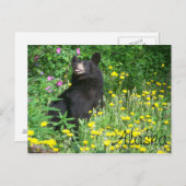 Zwart Beer Briefkaart (Voorkant / Achterkant)